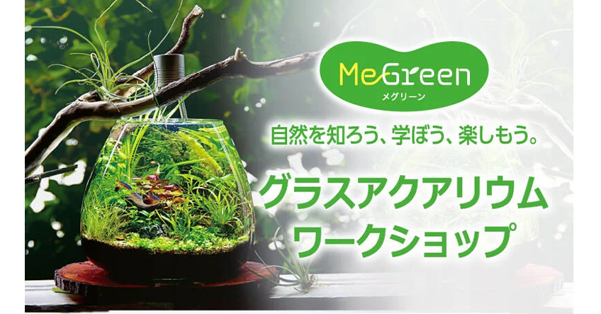 GEX MeGreenワークショップ