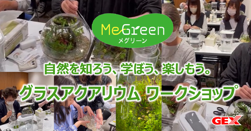 グラスアクアリウム　ワークショップ
